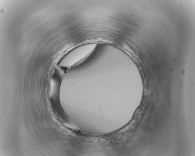 X0000088590193200706221349