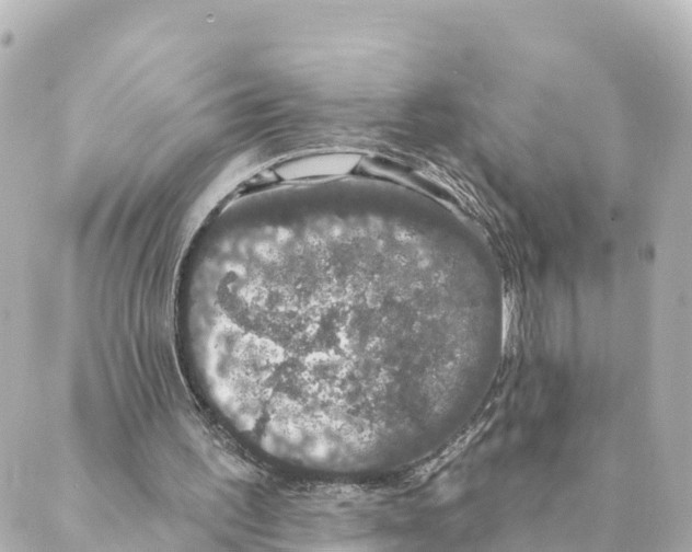 X0000088590195200706221349