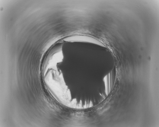 X0000088590196200706221349