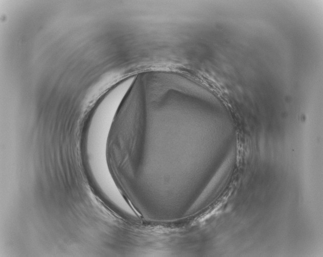 X0000088590197200706221349