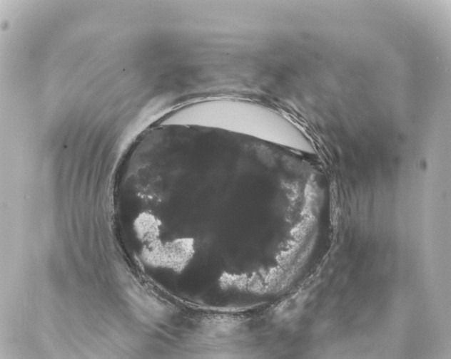 X0000088590198200706221349