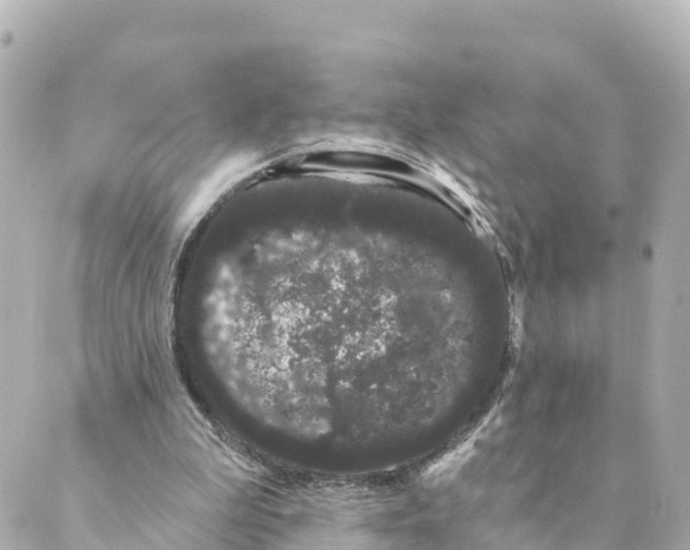 X0000088590199200706221349