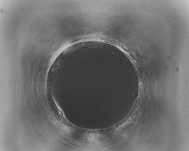 X0000088590200200706221349