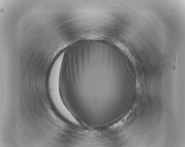 X0000088590201200706221349