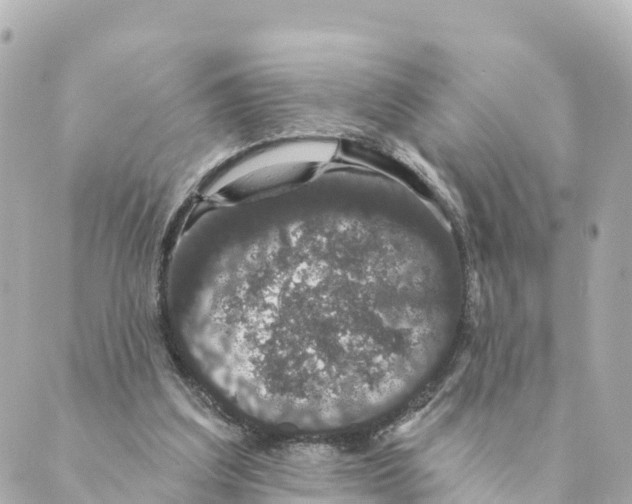 X0000088590203200706221349