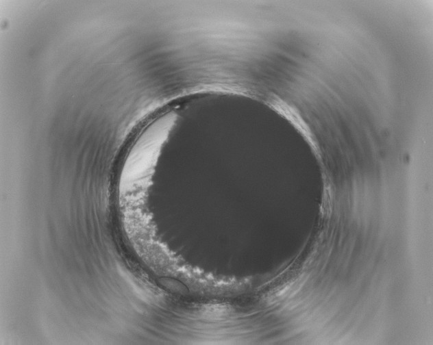 X0000088590204200706221349