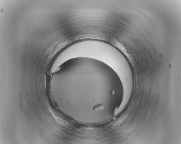 X0000088590205200706221349