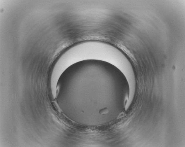 X0000088590207200706221349