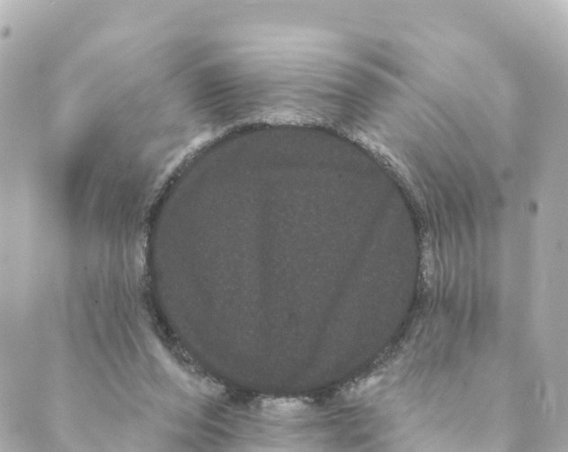 X0000088590208200706221349