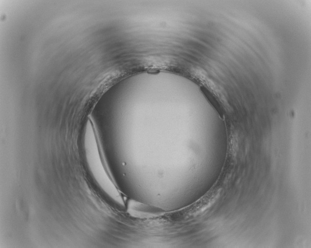 X0000088590209200706221349