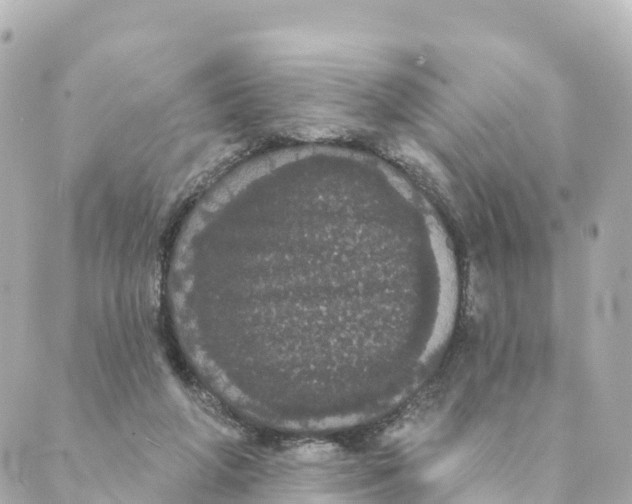 X0000088590210200706221349