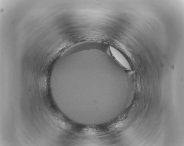 X0000088590211200706221349