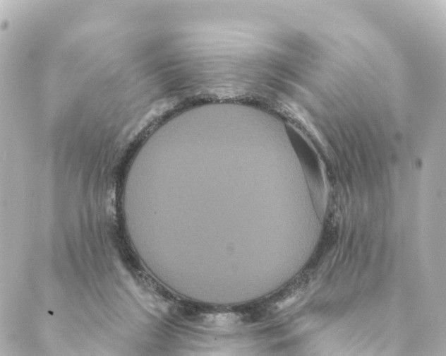 X0000088590212200706221349