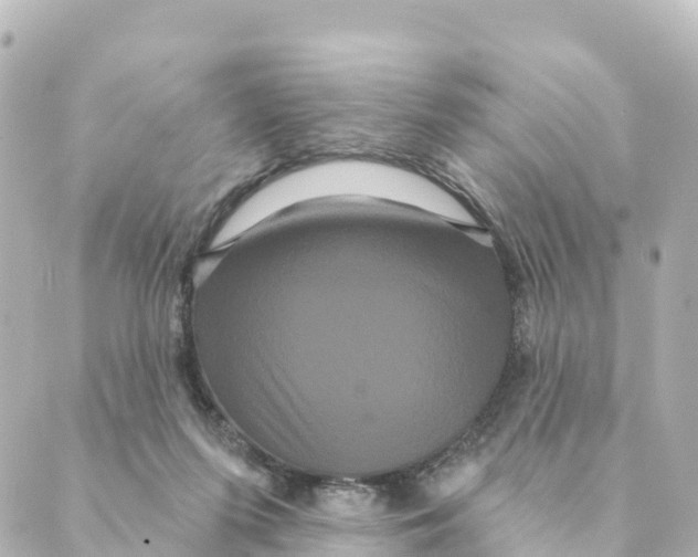 X0000088590215200706221349