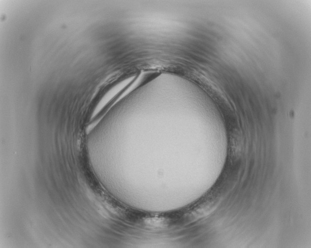 X0000088590216200706221349