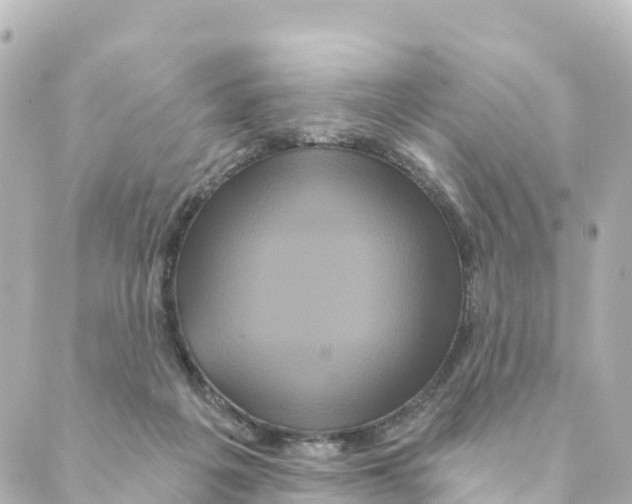 X0000088590217200706221349