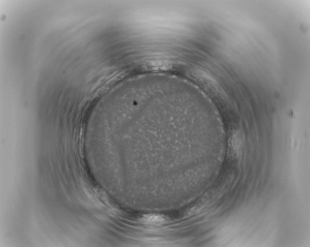 X0000088590218200706221349