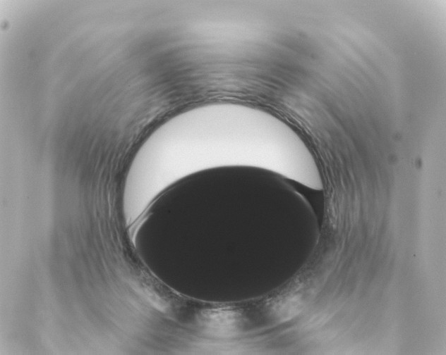 X0000088590219200706221349