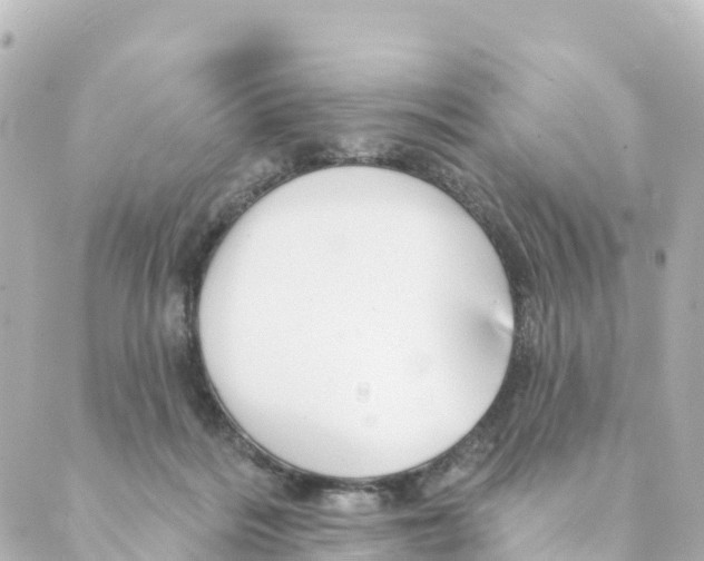 X0000088590220200706221349