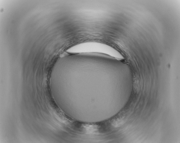 X0000088590221200706221349