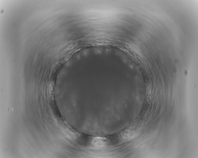 X0000088590222200706221349