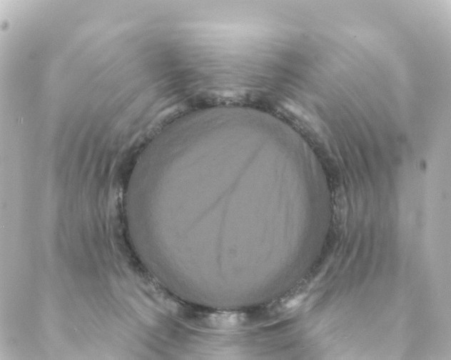 X0000088590225200706221349