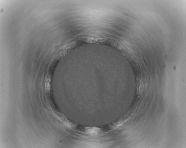 X0000088590226200706221349