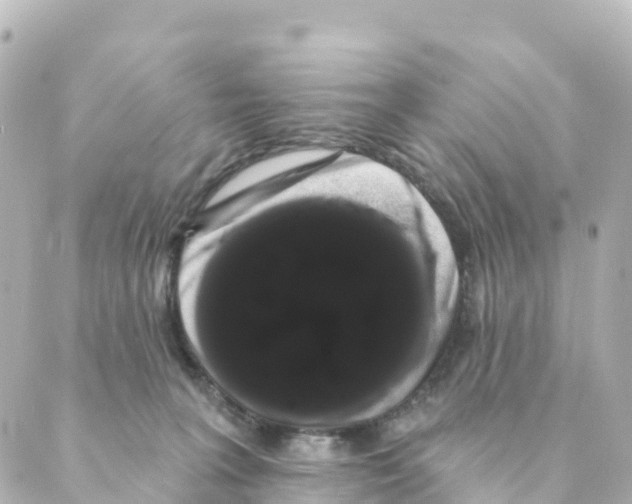 X0000088590227200706221349