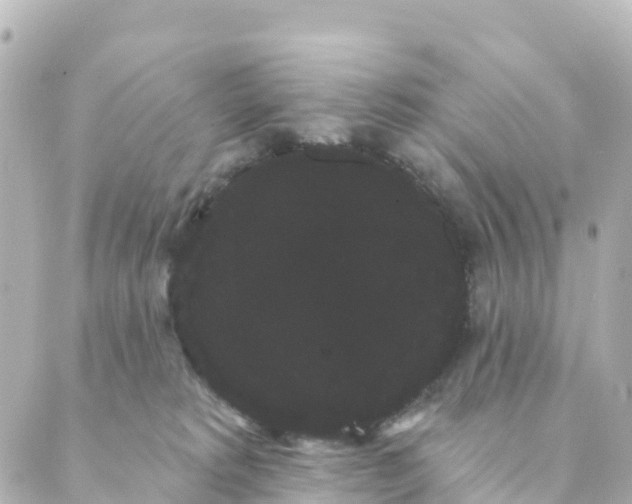 X0000088590229200706221349