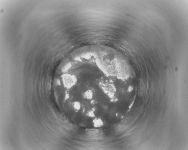 X0000088590230200706221349