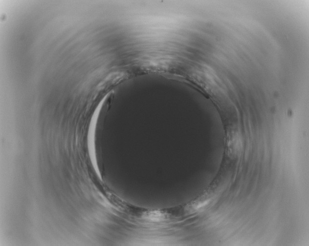 X0000088590231200706221349