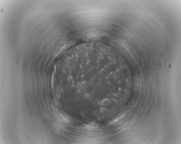 X0000088590232200706221349