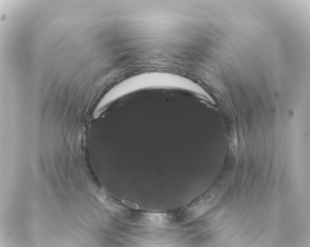 X0000088590233200706221349