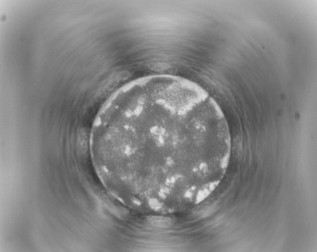 X0000088590234200706221349