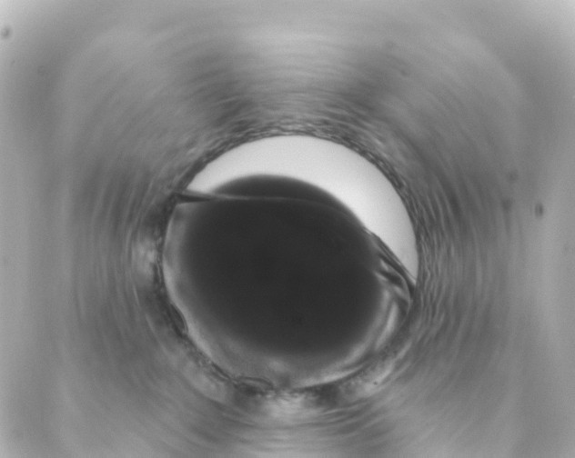 X0000088590235200706221349