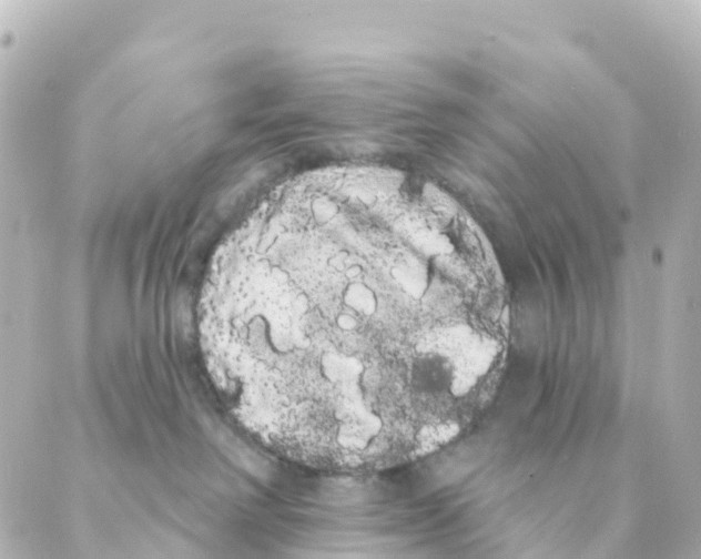 X0000088590238200706221349