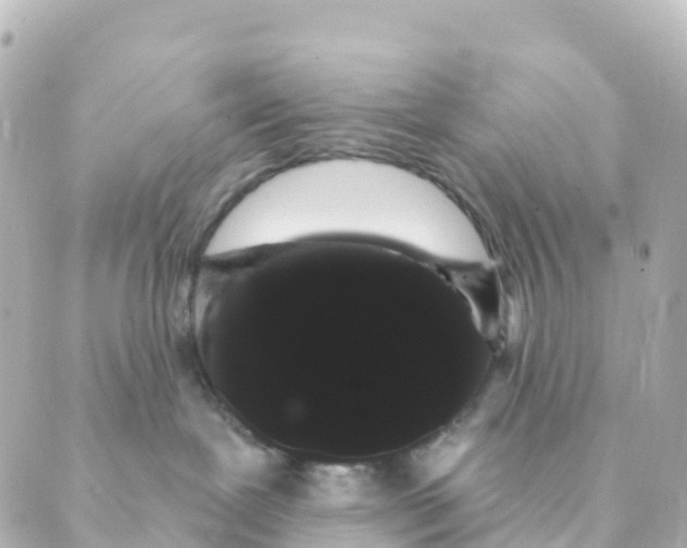 X0000088590239200706221349