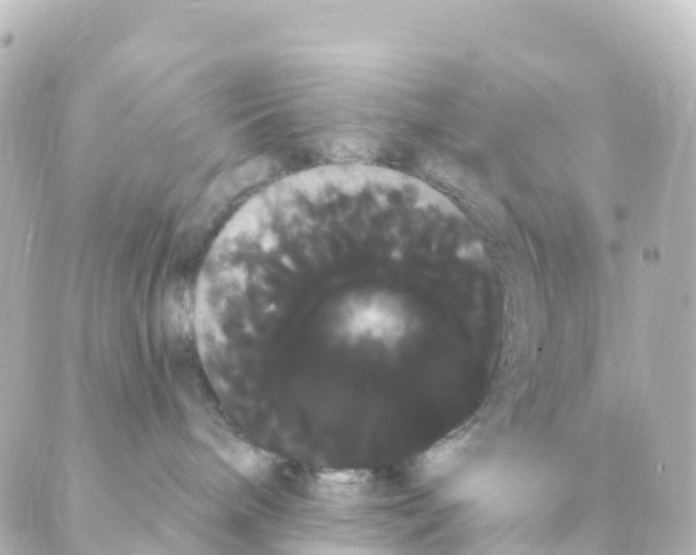 X0000088590240200706221349