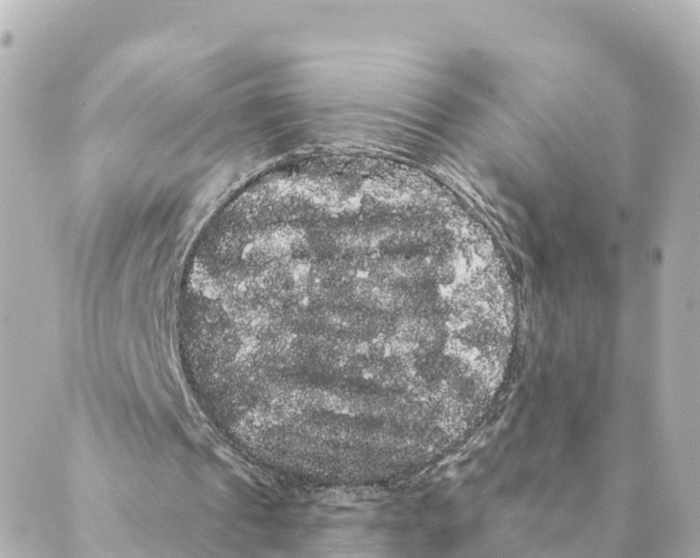 X0000088590241200706221348