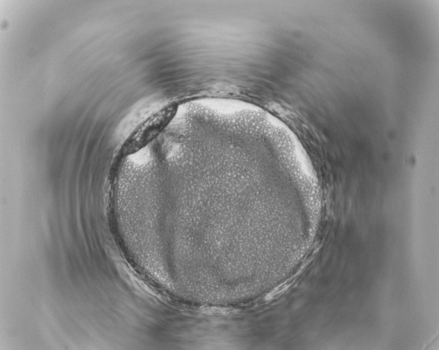 X0000088590242200706221348