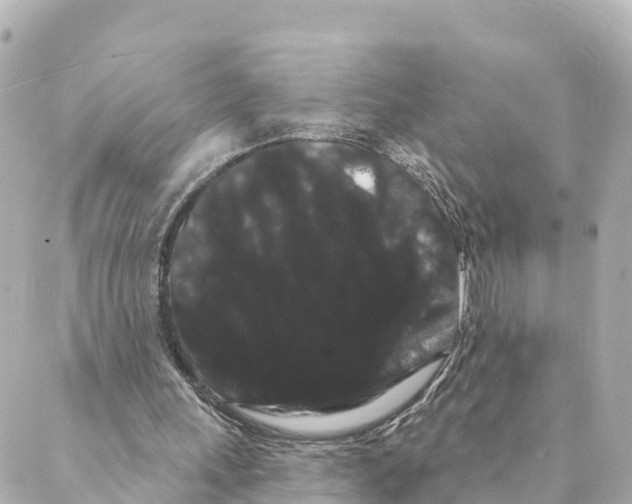 X0000088590243200706221348