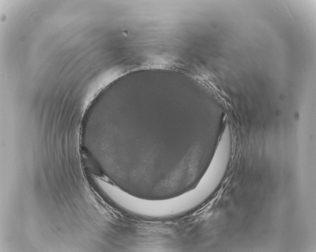 X0000088590244200706221348