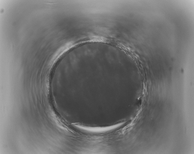 X0000088590247200706221348