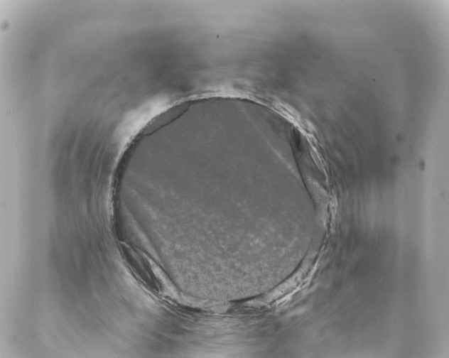 X0000088590248200706221348