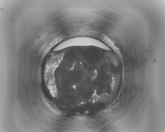 X0000088590250200706221348