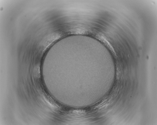 X0000088590251200706221348