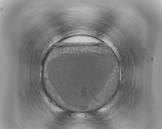 X0000088590253200706221348