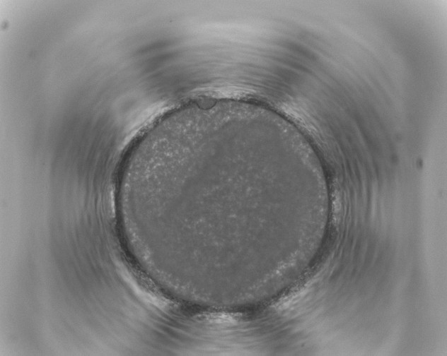 X0000088590254200706221348