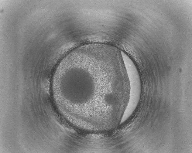 X0000088590255200706221348