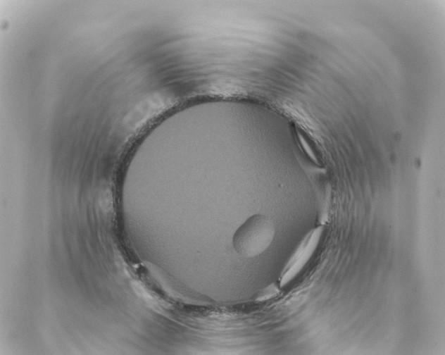 X0000088590256200706221348